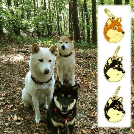 Obesek za psa z gravuro SHIBA INU